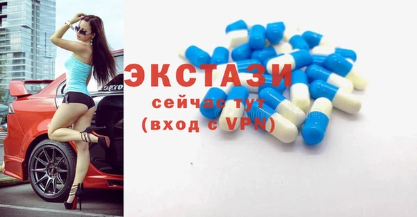 индика Дмитриев