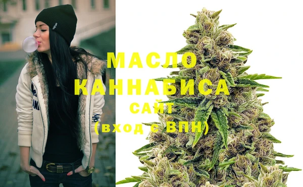 винт Елабуга