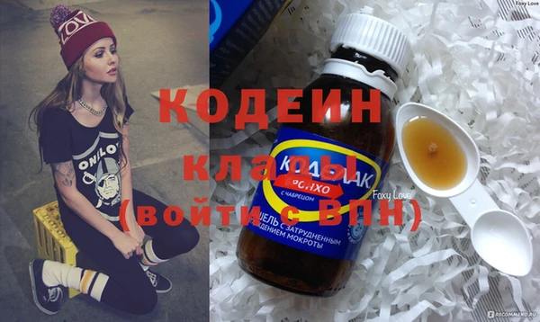 не бодяженный Заводоуковск