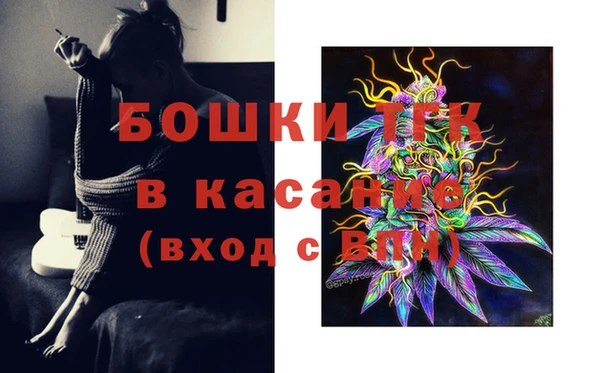 тгк Елизово