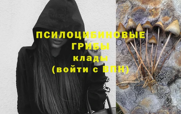 винт Елабуга
